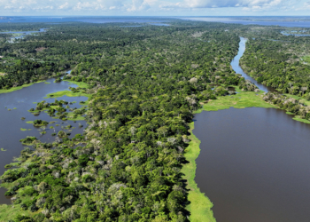 Desmatamento cai 17% na Amazônia e área destruída é a menor em oito anos