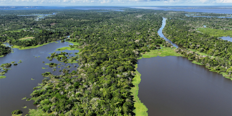 Desmatamento cai 17% na Amazônia e área destruída é a menor em oito anos