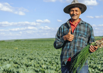 PIB do agronegócio cresce 12,20% e chega a R$ 3,20 trilhões em 2025