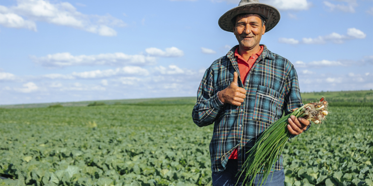 PIB do agronegócio cresce 12,20% e chega a R$ 3,20 trilhões em 2025
