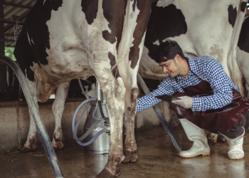 Ales aprova incentivo fiscal com ICMS zero para cooperativas de laticínios do Espírito Santo 2 Ales aprova incentivo fiscal com ICMS zero para cooperativas de laticínios do Espírito Santo