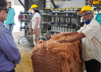 Cooperativa ITACOOP obtém certificação alemã na produção de algodão orgânico 2 Cooperativa ITACOOP obtém certificação alemã na produção de algodão orgânico