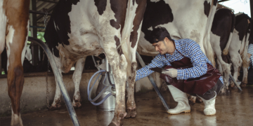 Ales aprova incentivo fiscal com ICMS zero para cooperativas de laticínios do Espírito Santo