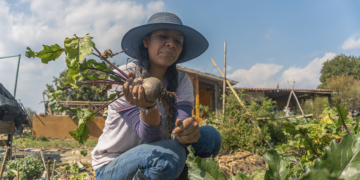 Sedics e Unicafes-AL lançam catálogo para impulsionar agricultura familiar alagoana