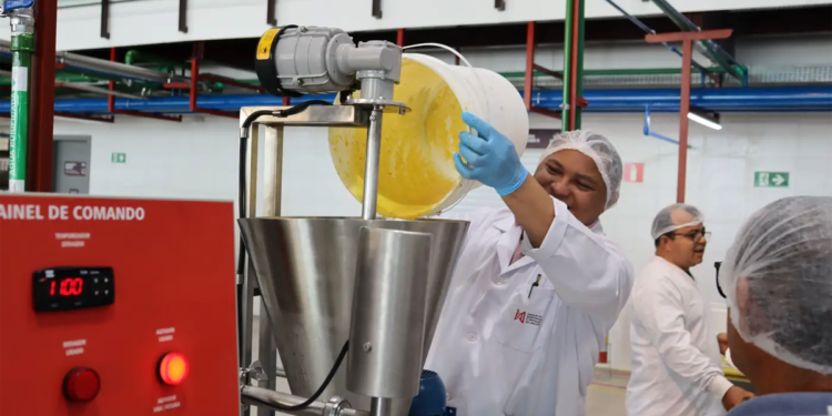 Cooperativas paraenses recebem qualificação em beneficiamento de polpas no Parque de Bioeconomia da Amazônia