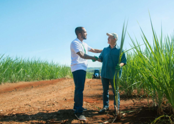 Sistema Cooperativo Sicredi destina R$ 13,7 bi ao agro do PR, SP e RJ com alta de 12,9%