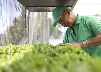 Sicredi aumenta em 15,7% volume liberado para o agro nos primeiros oito meses da Safra 25/26
