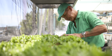 Sicredi aumenta em 15,7% volume liberado para o agro nos primeiros oito meses da Safra 25/26