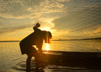 Cooperativa Cooperpesca (SP) recebe o primeiro Selo da Pesca Artesanal do Brasil