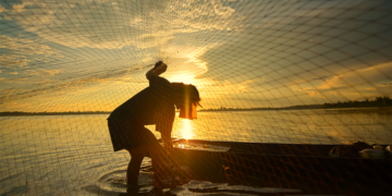Cooperativa Cooperpesca (SP) recebe o primeiro Selo da Pesca Artesanal do Brasil