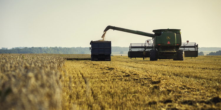 Agro paulista registrou superávit de US$ 4,49 bilhões no 1º trimestre