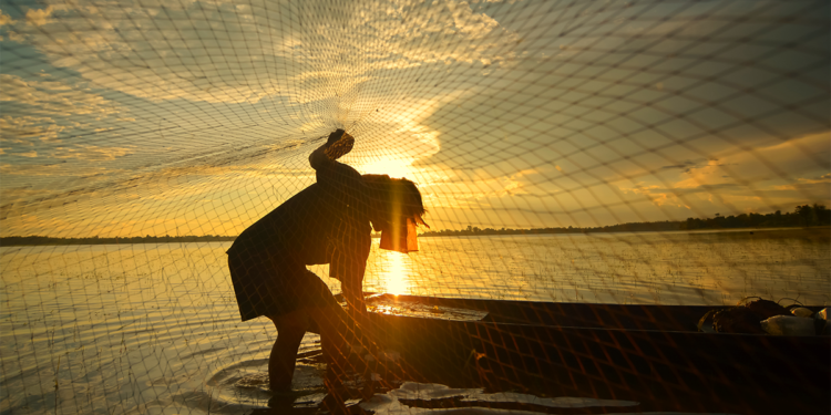 Cooperativa Cooperpesca (SP) recebe o primeiro Selo da Pesca Artesanal do Brasil 1 Cooperativa Cooperpesca (SP) recebe o primeiro Selo da Pesca Artesanal do Brasil