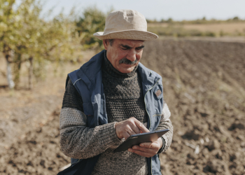 Embrapa desenvolve IA própria para responder perguntas de produtores rurais com mais precisão 2 Embrapa desenvolve IA própria para responder perguntas de produtores rurais com mais precisão
