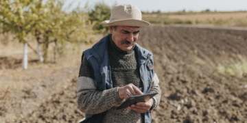 Embrapa desenvolve IA própria para responder perguntas de produtores rurais com mais precisão