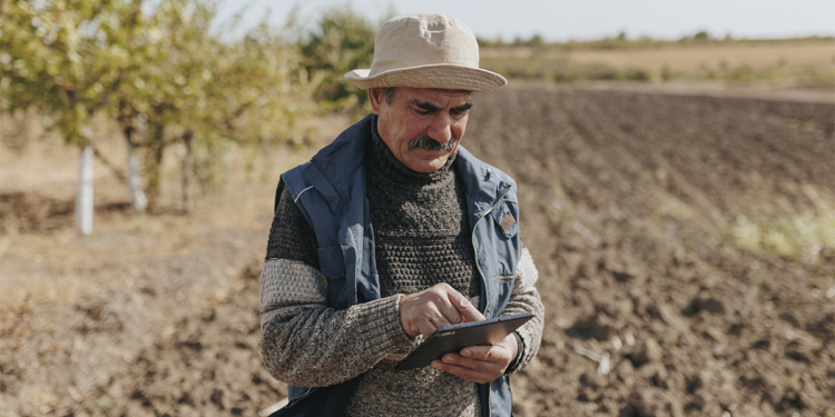 Embrapa desenvolve IA própria para responder perguntas de produtores rurais com mais precisão 1 Embrapa desenvolve IA própria para responder perguntas de produtores rurais com mais precisão