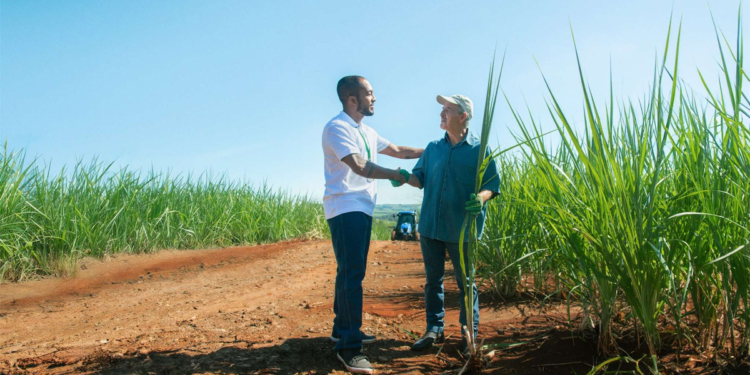 Sistema Cooperativo Sicredi destina R$ 13,7 bi ao agro do PR, SP e RJ com alta de 12,9%
