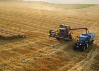 Cooperativas propõem Plano Safra de R$ 674 bilhões e defendem mais crédito para o agro 2 Cooperativas propõem Plano Safra de R$ 674 bilhões e defendem mais crédito para o agro