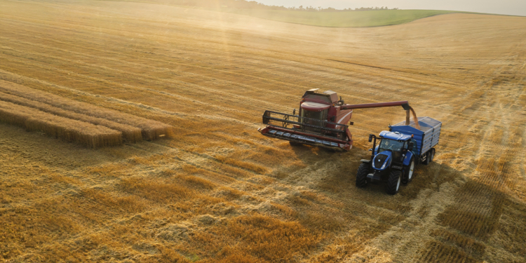 Cooperativas propõem Plano Safra de R$ 674 bilhões e defendem mais crédito para o agro