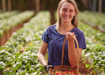 Cresol apresenta relatório de sustentabilidade com R$ 16 bi em crédito verde e amplia impacto social em 2025