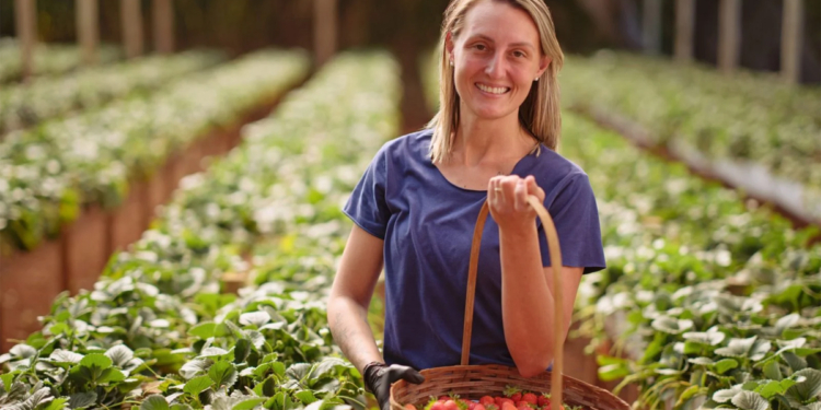 Cresol apresenta relatório de sustentabilidade com R$ 16 bi em crédito verde e amplia impacto social em 2025