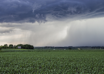 Seguro rural avança com 7 inovações para reduzir riscos climáticos e ampliar proteção no agronegócio