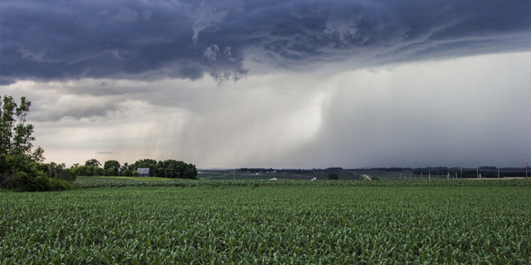 Seguro rural avança com 7 inovações para reduzir riscos climáticos e ampliar proteção no agronegócio