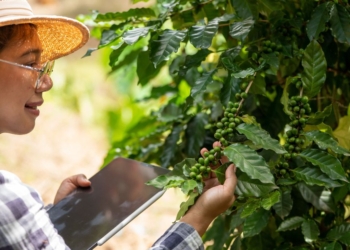 Cooxupé impulsiona educação e formação cooperativista na cafeicultura