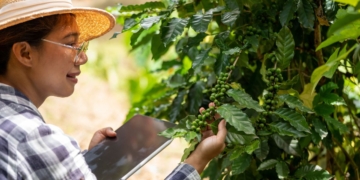  Cooxupé impulsiona educação e formação cooperativista na cafeicultura