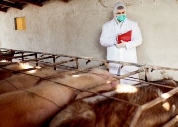 Governobusca reverter decisão da UE que exclui Brasil de lista de exportadores de produtos de origem animal