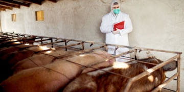 Governobusca reverter decisão da UE que exclui Brasil de lista de exportadores de produtos de origem animal