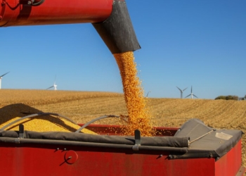 PIB do agro cresce 2% no primeiro trimestre, mas fica abaixo das expectativas