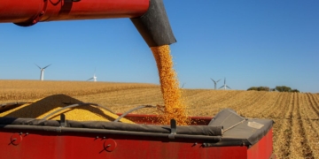 PIB do agro cresce 2% no primeiro trimestre, mas fica abaixo das expectativas
