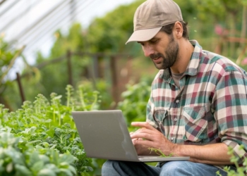 Produtores rurais têm até 17 de junho para emitir Certificado de Cadastro de Imóveis Rurais de 2026 2 Produtores rurais têm até 17 de junho para emitir Certificado de Cadastro de Imóveis Rurais de 2026