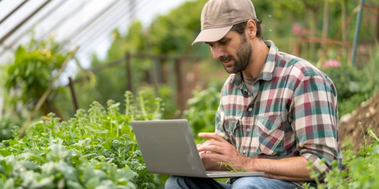 Produtores rurais têm até 17 de junho para emitir Certificado de Cadastro de Imóveis Rurais de 2026