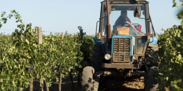 Cooperativas defendem crédito rural e reforma tributária em documento entregue a presidenciáveis
