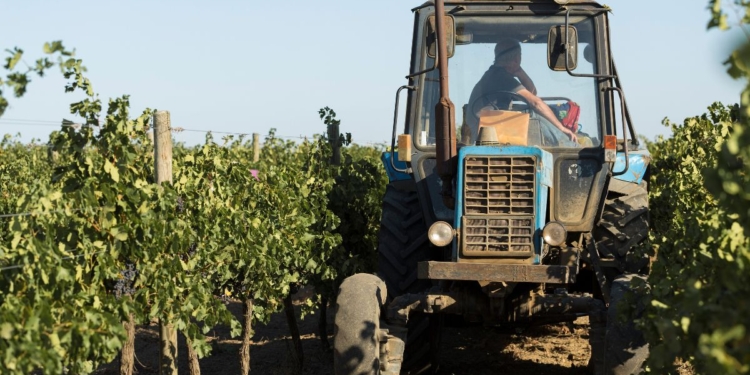 Cooperativas defendem crédito rural e reforma tributária em documento entregue a presidenciáveis