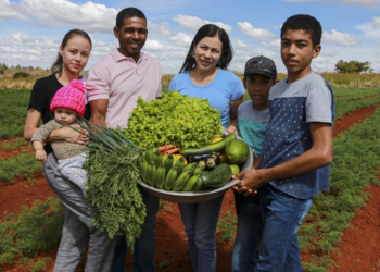 Cooperativas podem aderir ao novo Desenrola Rural com descontos de até 96%