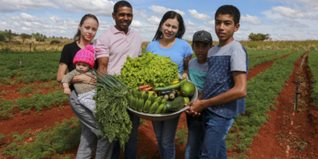 Cooperativas podem aderir ao novo Desenrola Rural com descontos de até 96%