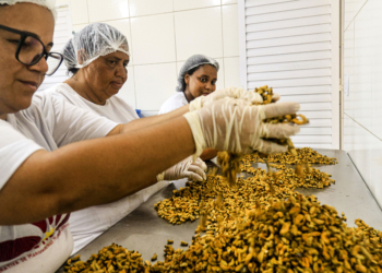 Cooperativa de marisqueiras fornecerá sururu para a rede pública municipal 2 AGRO 13