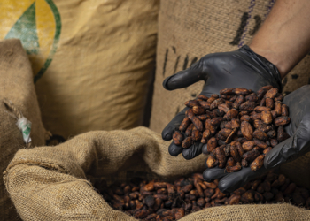 Cooperativa Expocacer faz exportação inédita de café naturalmente descafeinado para o Japão