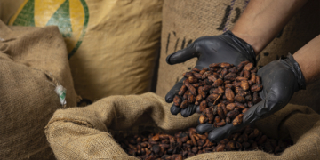 Cooperativa Expocacer faz exportação inédita de café naturalmente descafeinado para o Japão