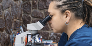 Descoberta brasileira com nanotecnologia pode reduzir perdas bilionárias causadas por percevejo na cultura da soja