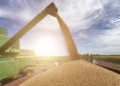 Recorde de 16,75 mi de toneladas de soja exportadas em abril sustenta receita do agronegócio brasileiro
