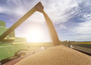 Recorde de 16,75 mi de toneladas de soja exportadas em abril sustenta receita do agronegócio brasileiro