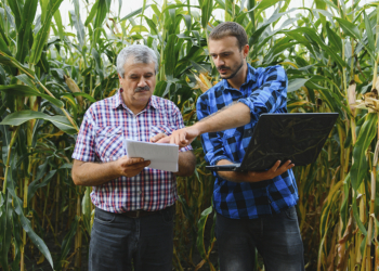 IA avança no setor agropecuário e amplia segurança alimentar no Brasil