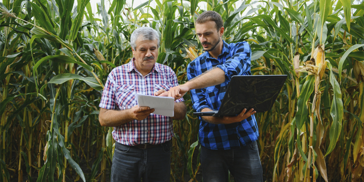 IA avança no setor agropecuário e amplia segurança alimentar no Brasil