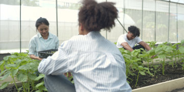 A Revolução Silenciosa: Como a Natureza Está Virando o Jogo na Agropecuária