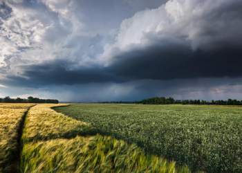 Previsão de El Niño Forte Alimenta Preocupações com Colheitas Globais