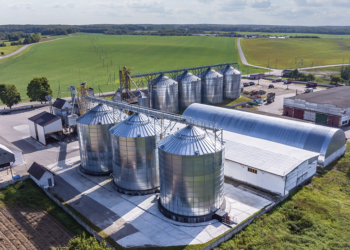 Agronegócio responde por 26,3% dos empregos no Brasil e atinge recorde de 28,4 milhões de ocupados