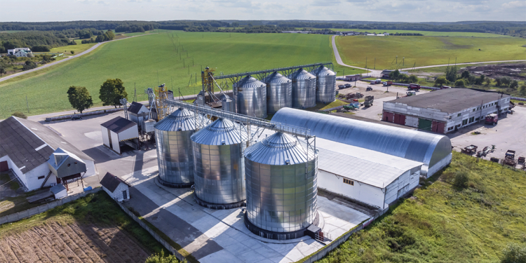 Agronegócio responde por 26,3% dos empregos no Brasil e atinge recorde de 28,4 milhões de ocupados